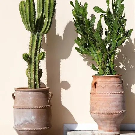 Villa Hortensia - Infinity Pool & Sea Views By Explore Andros Ipsila