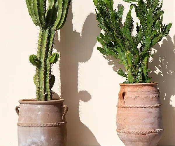 Вилла Hortensia - Infinity Pool & Sea Views By Explore Andros Ipsila